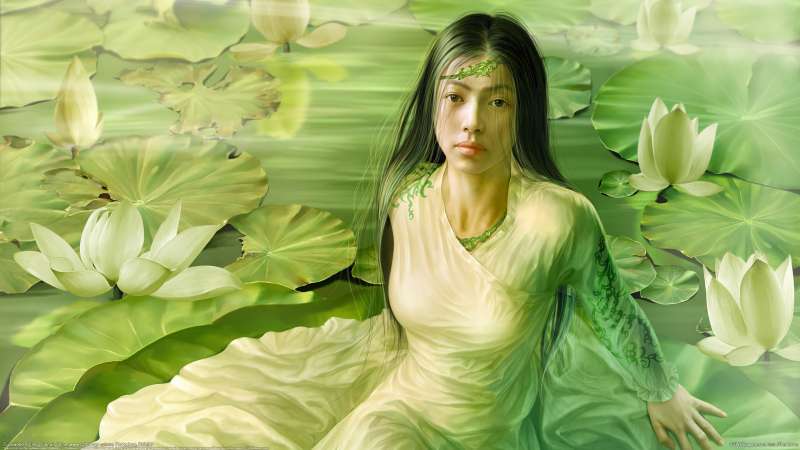 Duckweed wallpaper or background