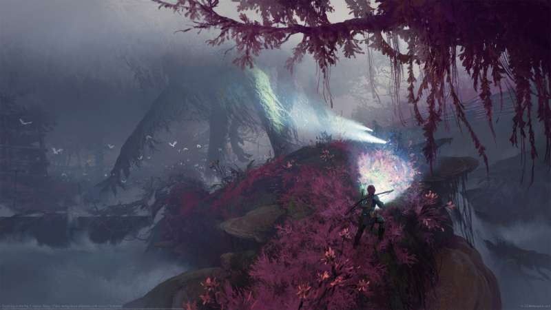 Exploring in the fog wallpaper or background