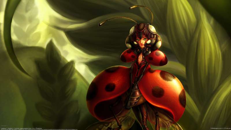 Ladybug wallpaper or background