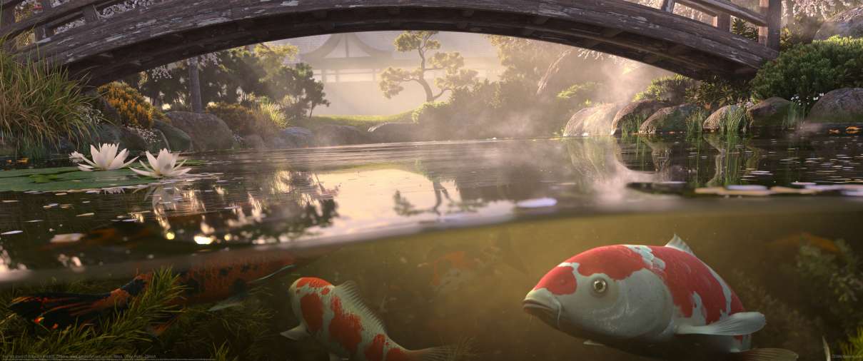 Koi fish pond ultrawide wallpaper