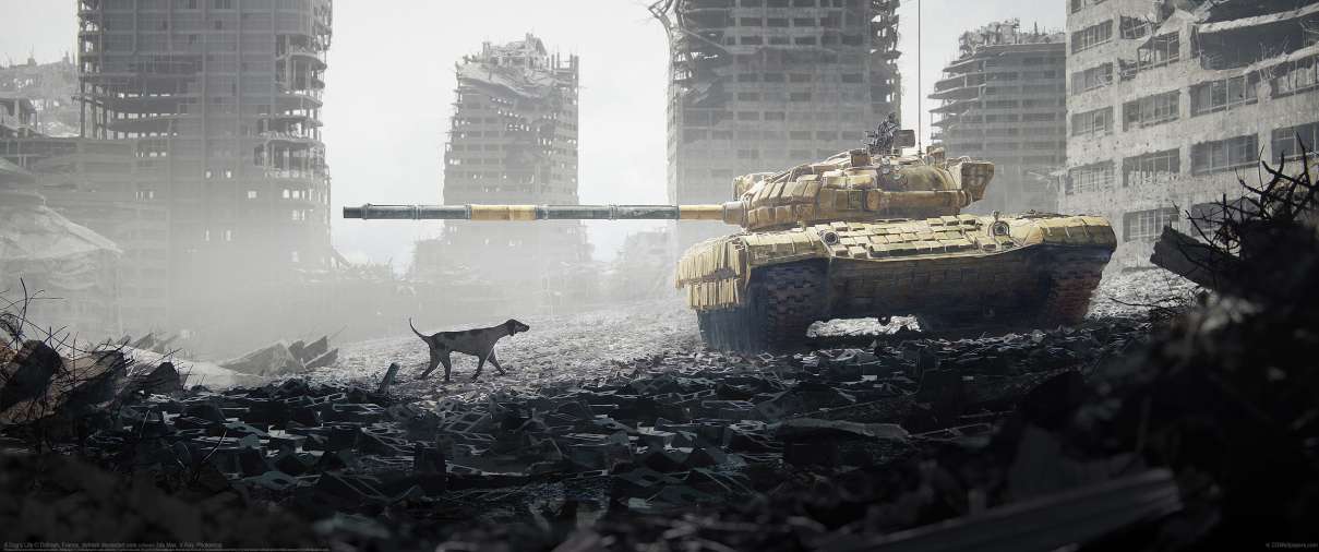 A Dog's Life ultrawide wallpaper