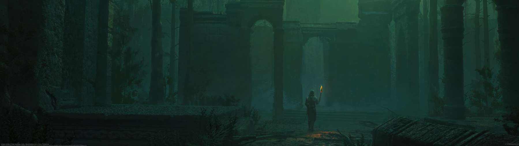 Jungle tombs ultrawide wallpaper