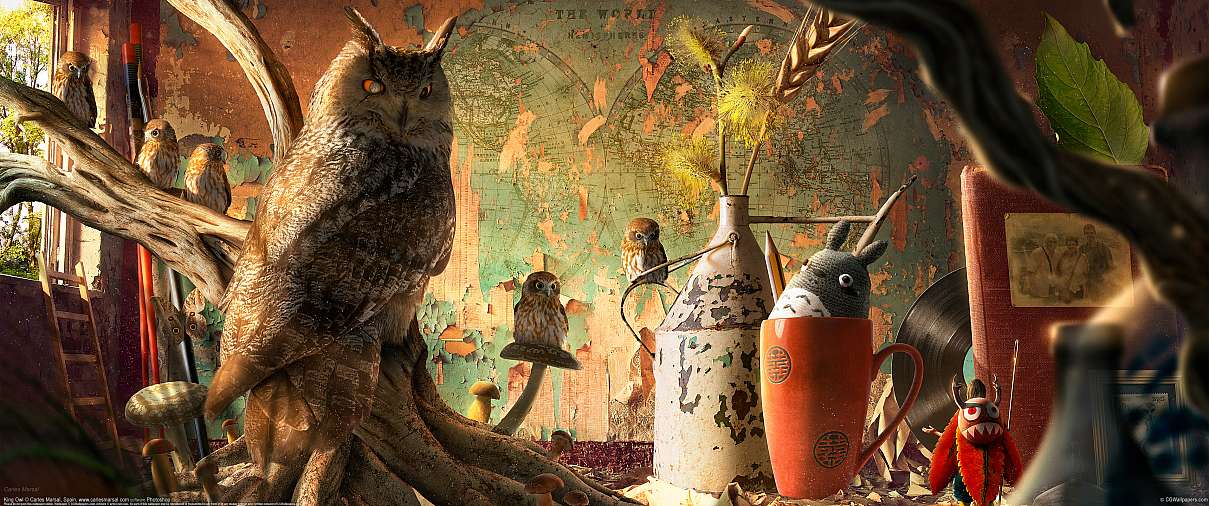 King Owl ultrawide wallpaper