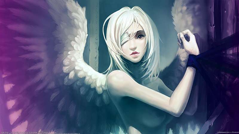 Angel Wings wallpaper or background