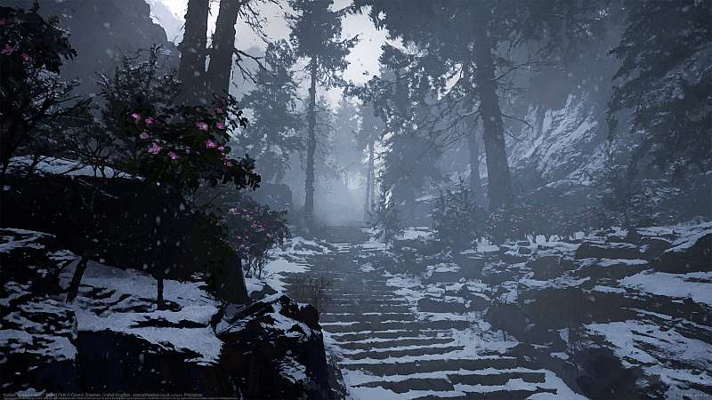 Kaidan: Project Hottan - Forest Path wallpaper or background