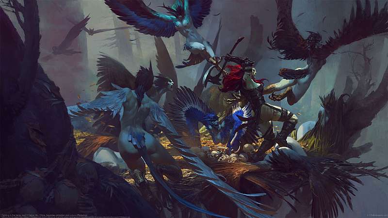 Fighting in the harpy nest  wallpaper or background