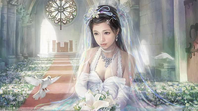 Bride wallpaper or background