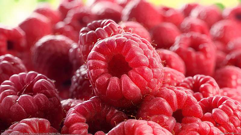 Raspberry Day wallpaper or background