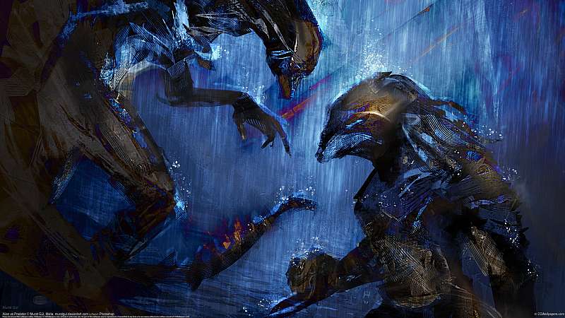 Alien vs Predator wallpaper or background