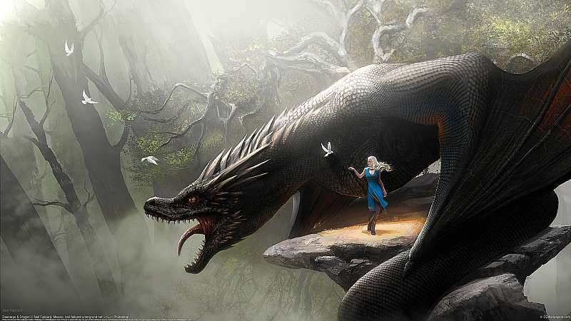 Daenerys & Drogon wallpaper or background