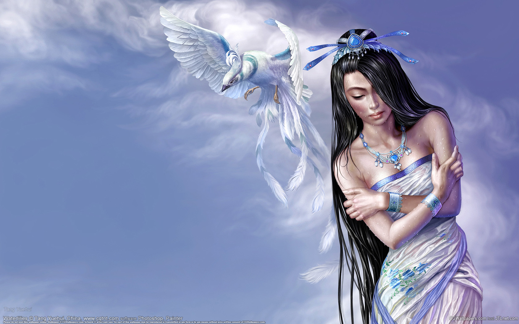 Tang Yuehui achtergrond 14 @ 1680x1050