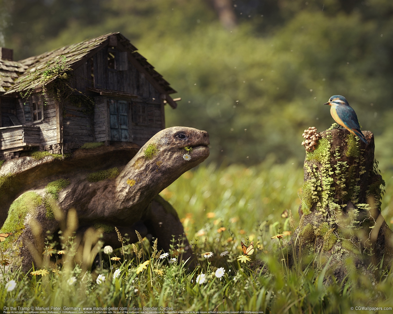 Manuel Peter 1280 wallpaper or background 02