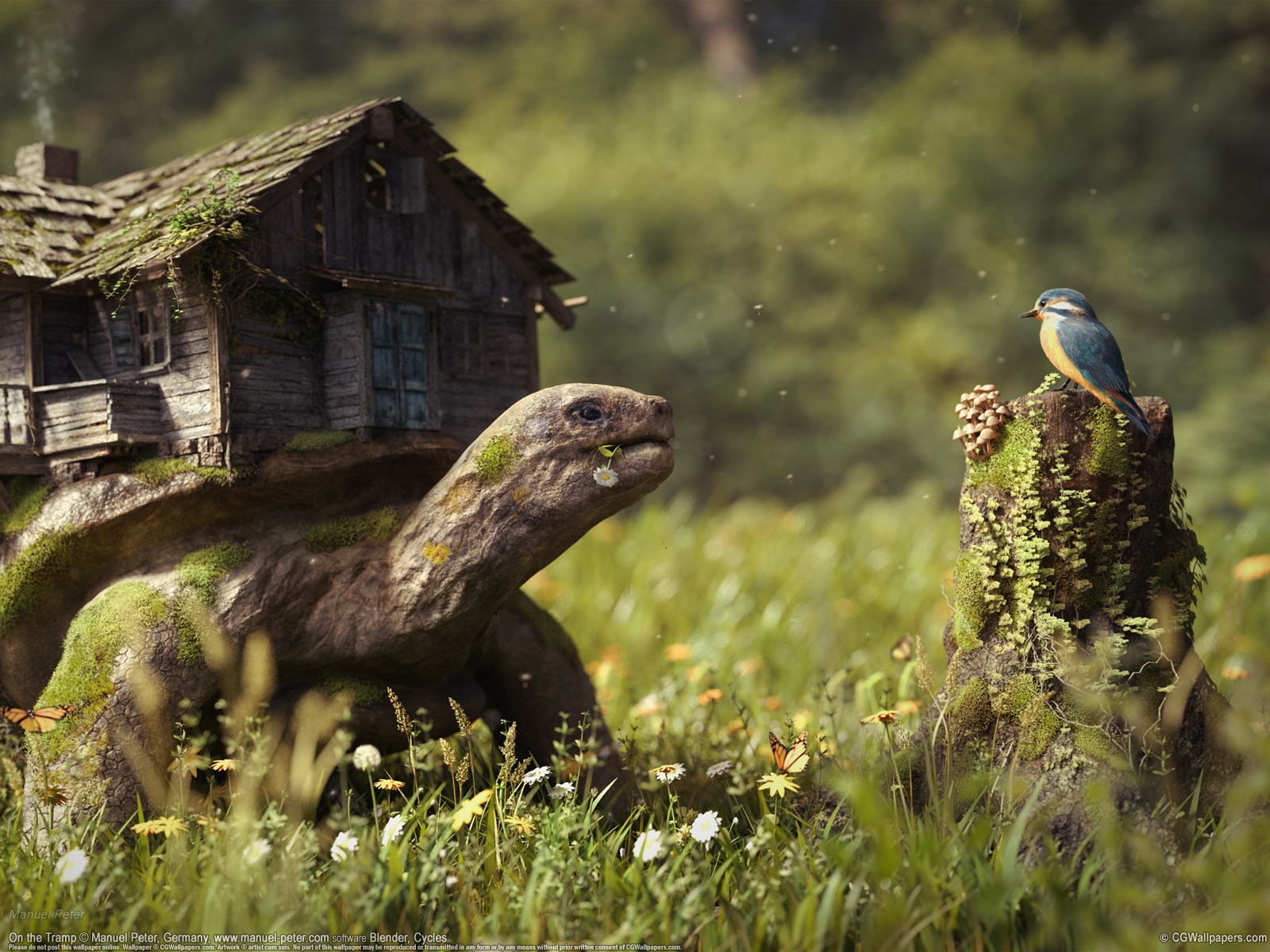 Manuel Peter 1600 wallpaper or background 02